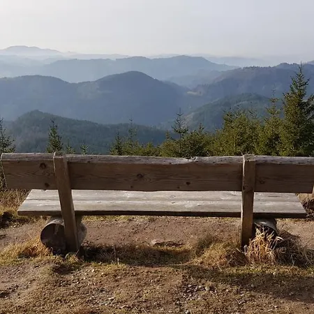 Apartamento Vogelnest Mit Weitem Blick über Den Schwarzwald Baiersbronn