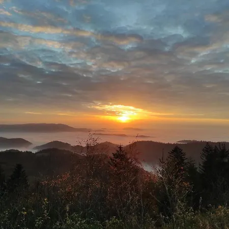 Vogelnest Mit Weitem Blick über Den Schwarzwald * Baiersbronn