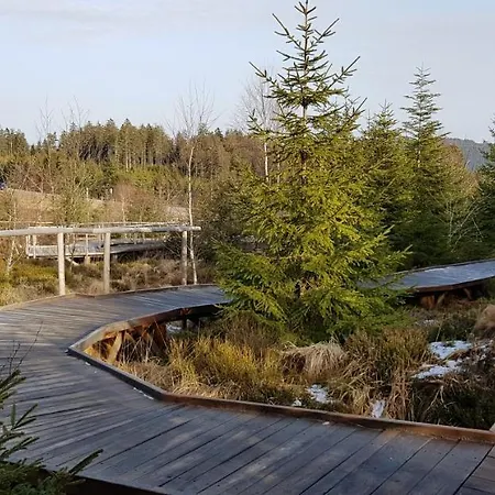 Apartamento Vogelnest Mit Weitem Blick über Den Schwarzwald Baiersbronn