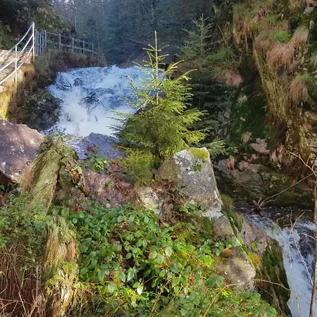 Vogelnest Im Schwarzwald Apartmán
