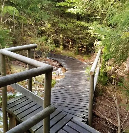 Vogelnest Mit Weitem Blick über Den Schwarzwald