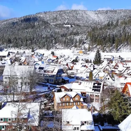Vogelnest Mit Weitem Blick über Den Schwarzwald Apartamento *