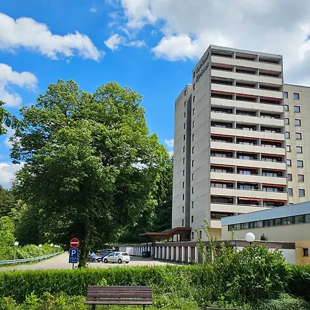 Vogelnest Im Schwarzwald Baiersbronn