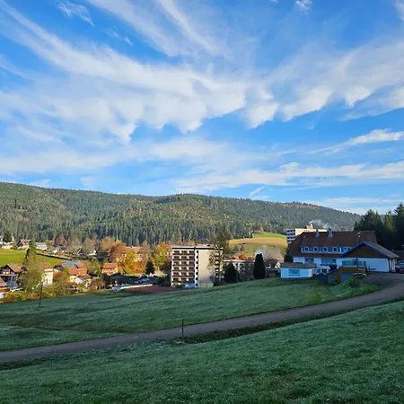 Vogelnest Mit Weitem Blick über Den Schwarzwald Apartamento Baiersbronn
