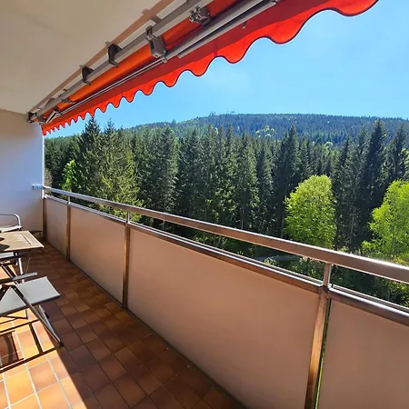 Apartamento Vogelnest Mit Weitem Blick über Den Schwarzwald