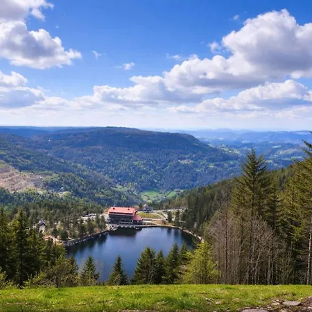 Apartamento Vogelnest Mit Weitem Blick über Den Schwarzwald Baiersbronn