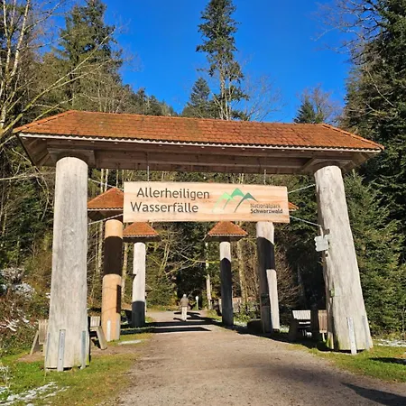 Apartamento Vogelnest Mit Weitem Blick über Den Schwarzwald