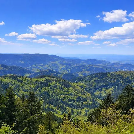 Vogelnest Mit Weitem Blick über Den Schwarzwald Apartamento *